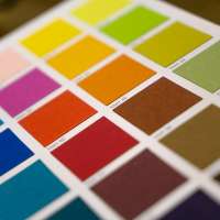The Power of Color: How Interior Paint Choices Impact Your Mood and Home