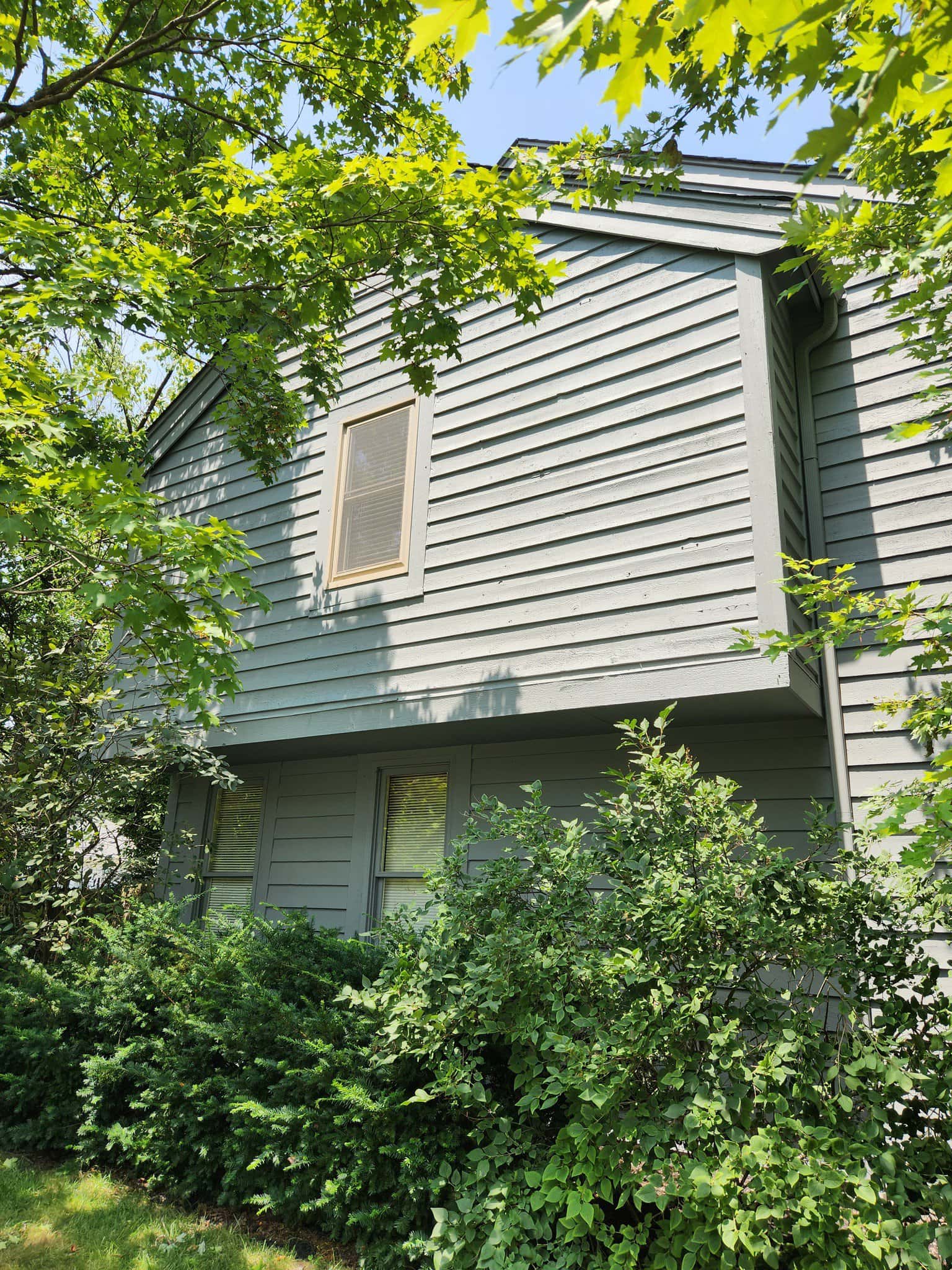 363442155 704173631722718 3945968817882861241 N