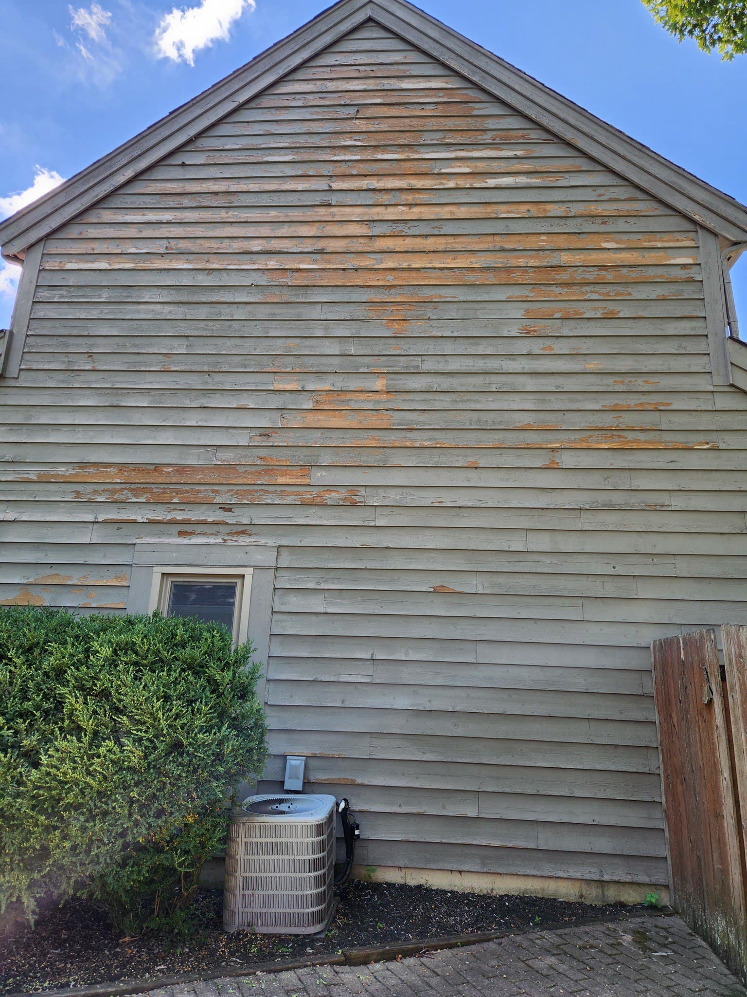 363358249 704172868389461 846493280879071412 N