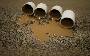 Paint spilled on carpet with four cups, showing cleanup challenge.