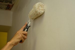 painter painting with paint roller